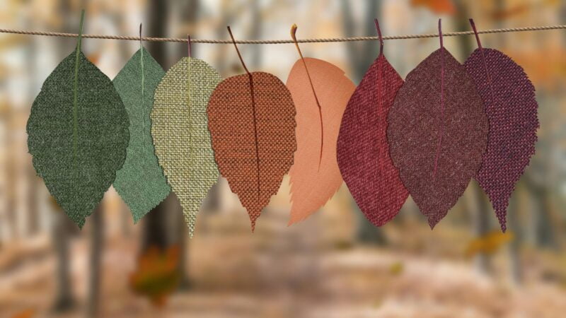 Tipos de Tecidos para Roupas de Verão que Vão te Manter Fresco Sob o Calor